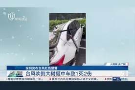 深圳发布台风红色预警 台风吹倒大树砸中车致1死2伤视频封面