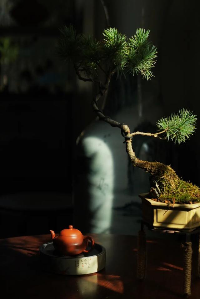 央视聚焦！国庆中秋假期不得不去趟福鼎了！