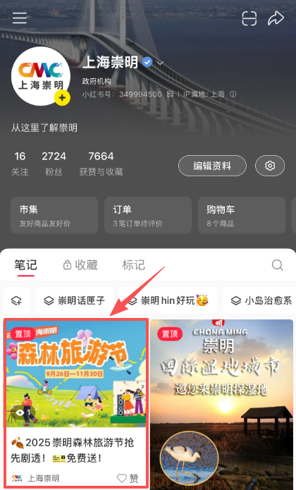 2025上海崇明森林旅游节即将启幕~精彩内容抢先看！文末有福利→