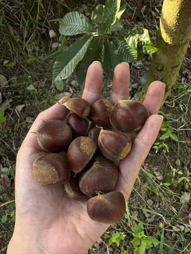 街头大量出现！武进人都去......