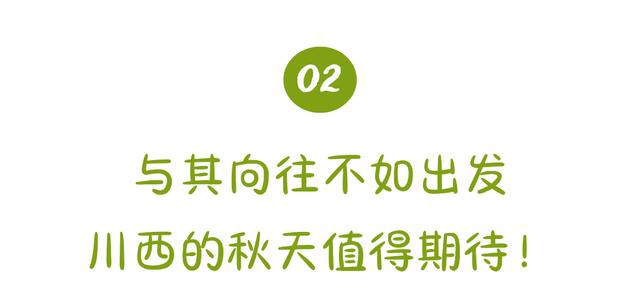 这个秋天，跟着王星越一起驶向川西！