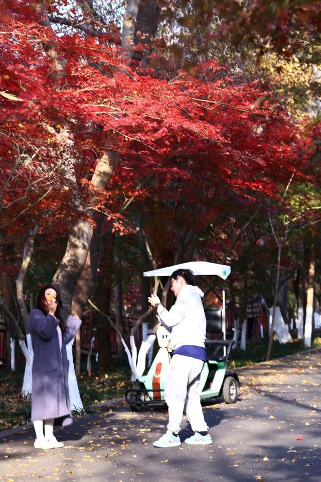 中大路 “红” 了！本周 C 位遛弯地预定！