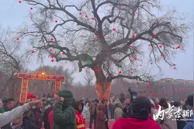 “龙灯节”火出圈图片