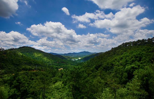 来高明，上秋山！