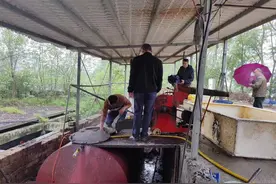 助力绿色发展，益阳职院探索生态循环养殖新路径图片