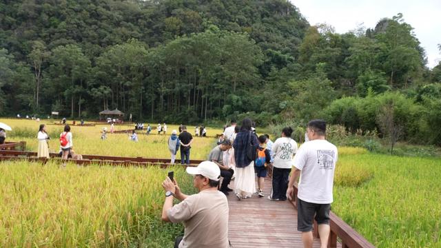 千年布依古寨迎客流高峰 镇宁高荡“双节”前三天游客破8000人次