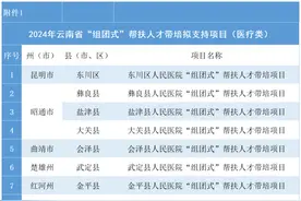 2024年度云南省“组团式”帮扶人才带培拟支持项目公示图片