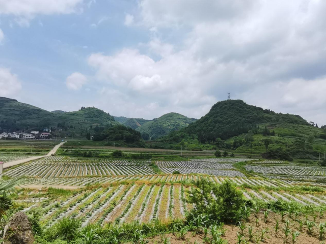 后坝村：既有红色记忆，更有绿水青山