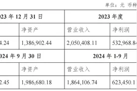 江苏金租：为全资项目公司293万美元项目融资贷款提供担保图片
