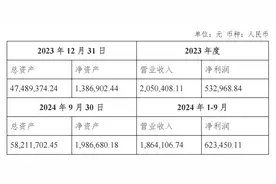 江苏金租：为全资项目公司293万美元项目融资贷款提供担保图片