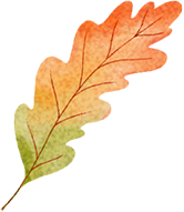 错过真的要等一年！光谷赏秋红橙黄橘绿正当时！