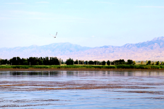 太空“出差”半年即将回家，猜猜王杰最想吃的家乡菜是啥？