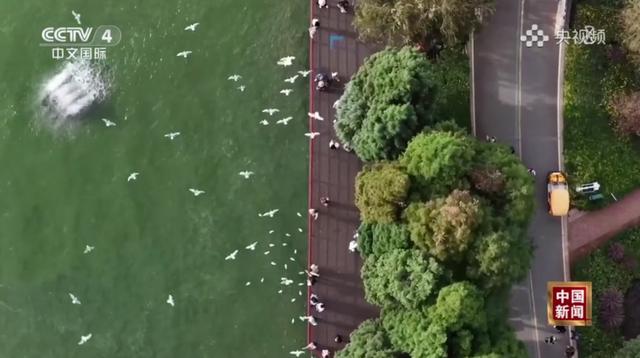 跟着央视三大频道一起赏昆明“限定款”秋色