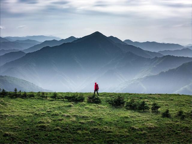 “山野产业”不能野蛮生长