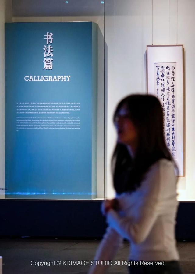 ​别再说深圳是文化沙漠！这份双馆暴走攻略，让你重新认识这座城市