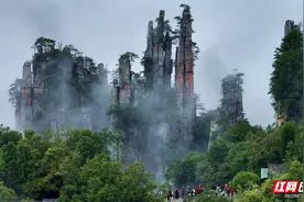 免费游、免费住！张家界武陵源向网络达人发出专属福利图片