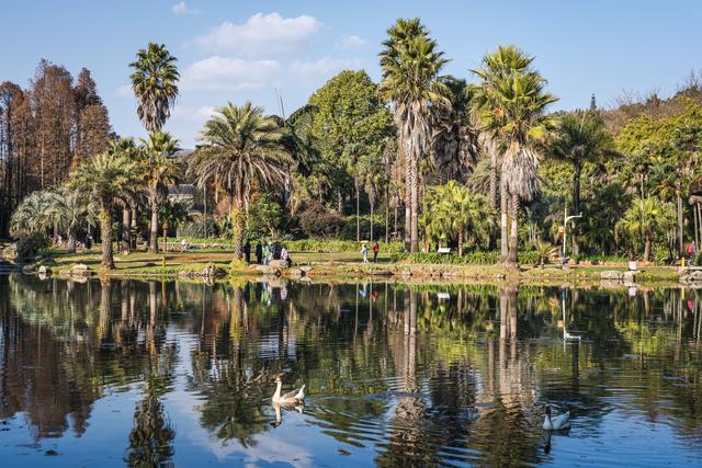 云南昆明：冬日绿意暖