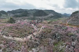 永州江永：十里桃花映出乡村振兴好“丰”景图片
