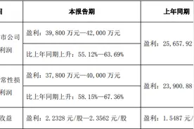 祥鑫科技单季净利再创新高，股价却缩水三成，这几大隐忧值得关注图片