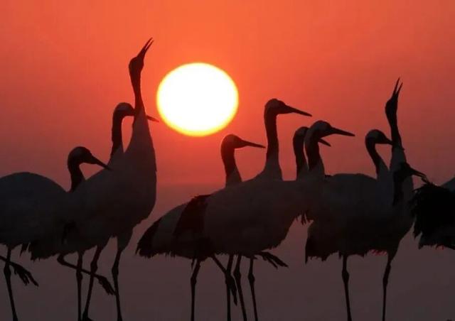 不来珲春，怎知秋色如许？（惊艳美图来袭）