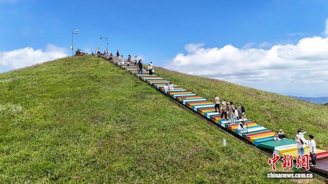 贵州赫章十余万亩野生韭菜花竞相绽放
