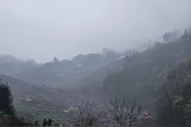 上游在现场 | 四川筠连山体滑坡事故，已安全转移疏散群众360人图片