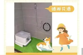 国内首创！白云机场为托运宠物设置专厕图片
