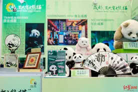 “花局”坐镇，成都惊艳亮相第21届东盟博览会图片