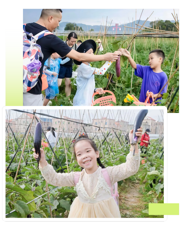 平时不出门，但如果是翔安的果蔬熟了，那我得跑着去！