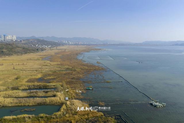 图库推荐｜威宁草海观鸥热
