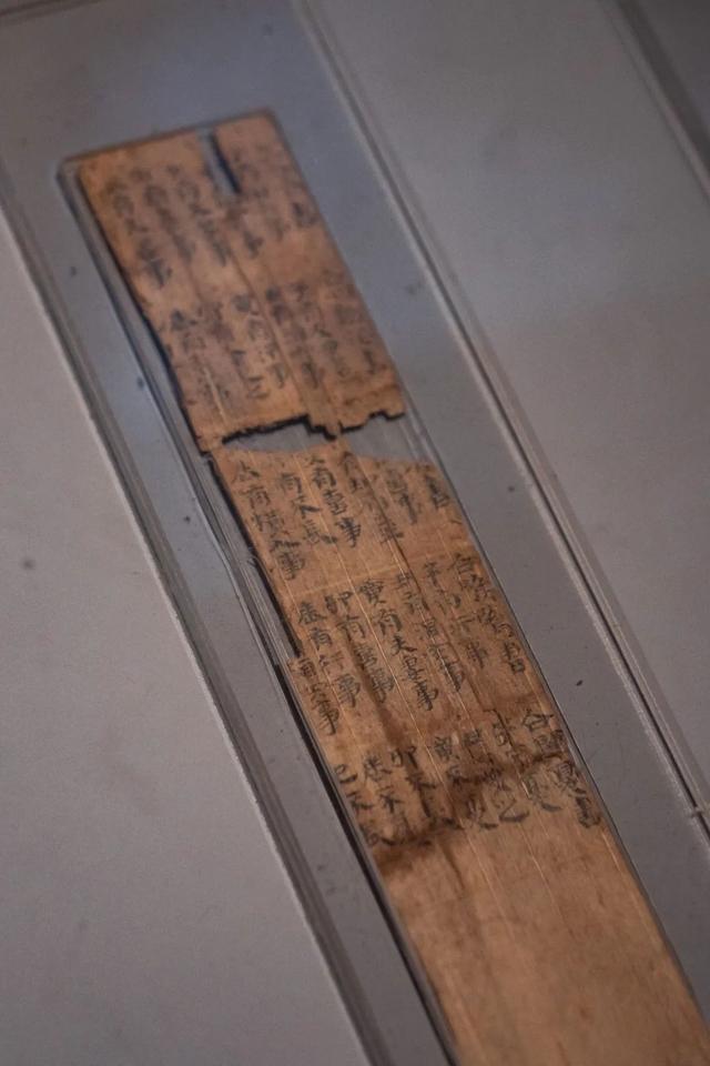 长株潭城际漫游丨霸王龙、越人、大墓、古井、金银器……这个博物馆让人大感震撼