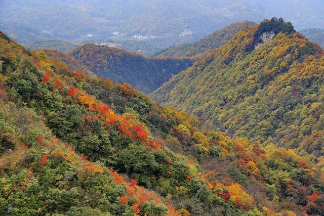 寻美兴山：又见榛子红