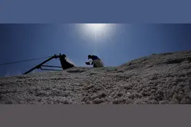 中国有多少个“盐都”？图片