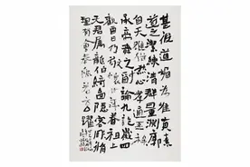 【艺润滨州·文联陪您过大年】书法 | 王开连作品图片