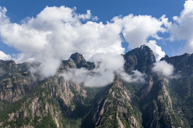 【早安，黄山】黄山市文化和旅游深度融合发展座谈会·新安茶会召开 ‖ 2025黄山马拉松赛事将于11月30日举行