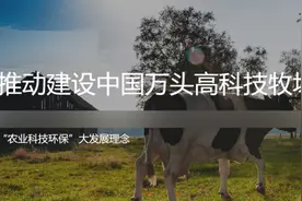 这些人称“云养牛”能赚钱，非法集资5亿多元！上海有人豪掷300万元图片