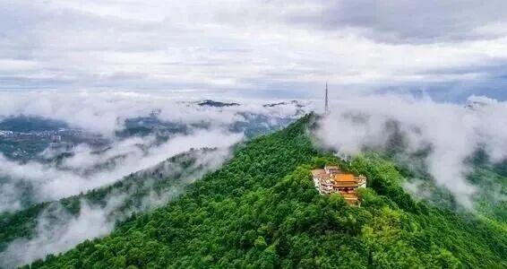 和顶流博主做旅行“搭子”，是种什么体验？