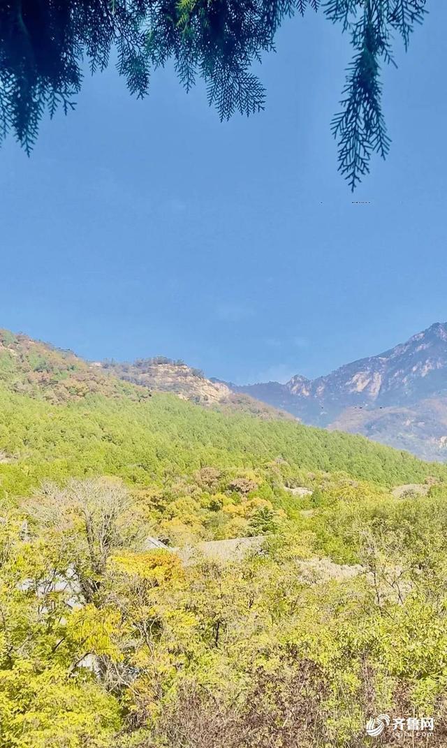组图丨一大波美图来袭！泰山景区9个赏秋地超出片