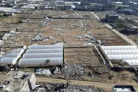 联合国机构：339辆运送援助物资的卡车进入加沙地带图片