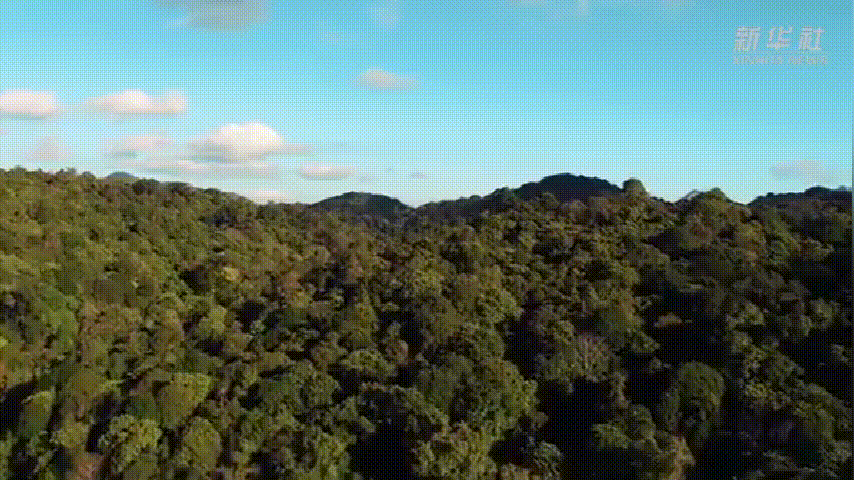 开屏策划｜今日重阳，来云南解锁不一样的“仪式感”