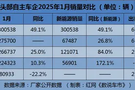 数说车市丨自主头部车企2025年开局表现如何？图片