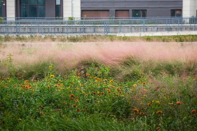 一大波美图袭来！长宁赏秋秘境藏不住啦～