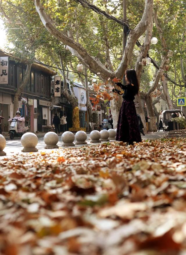 镇 江 开 启 浪 漫 模 式