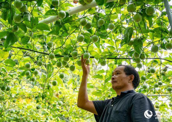 福建永定：红色美丽村庄“养成记”