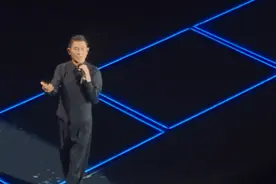 刘德华在舞台上再次发生意外状况图片
