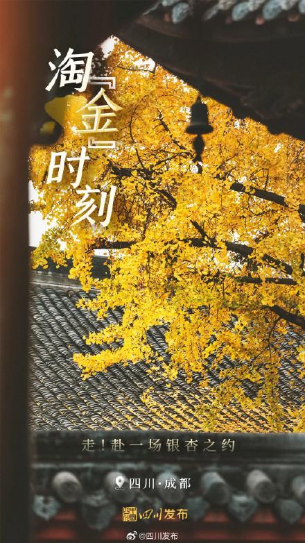 四川这份深秋限定浪漫，等你“淘”取！