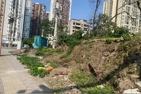 九龙坡：边坡变绿地 城市品质大提升图片