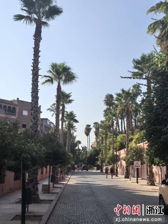 赭红与钴蓝：一座城的灵魂栖居