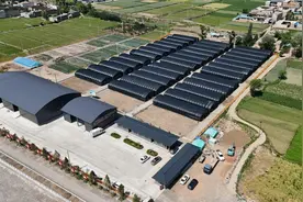 滩歌镇：村企共建谋发展 协同发力促振兴图片