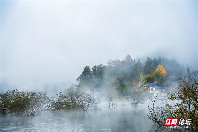 【每日一图@湖南】打卡靖州冬日C位！“杨梅之乡”藏着生态活画卷